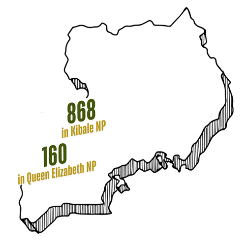 Uganda-map-stove-numbers-500
